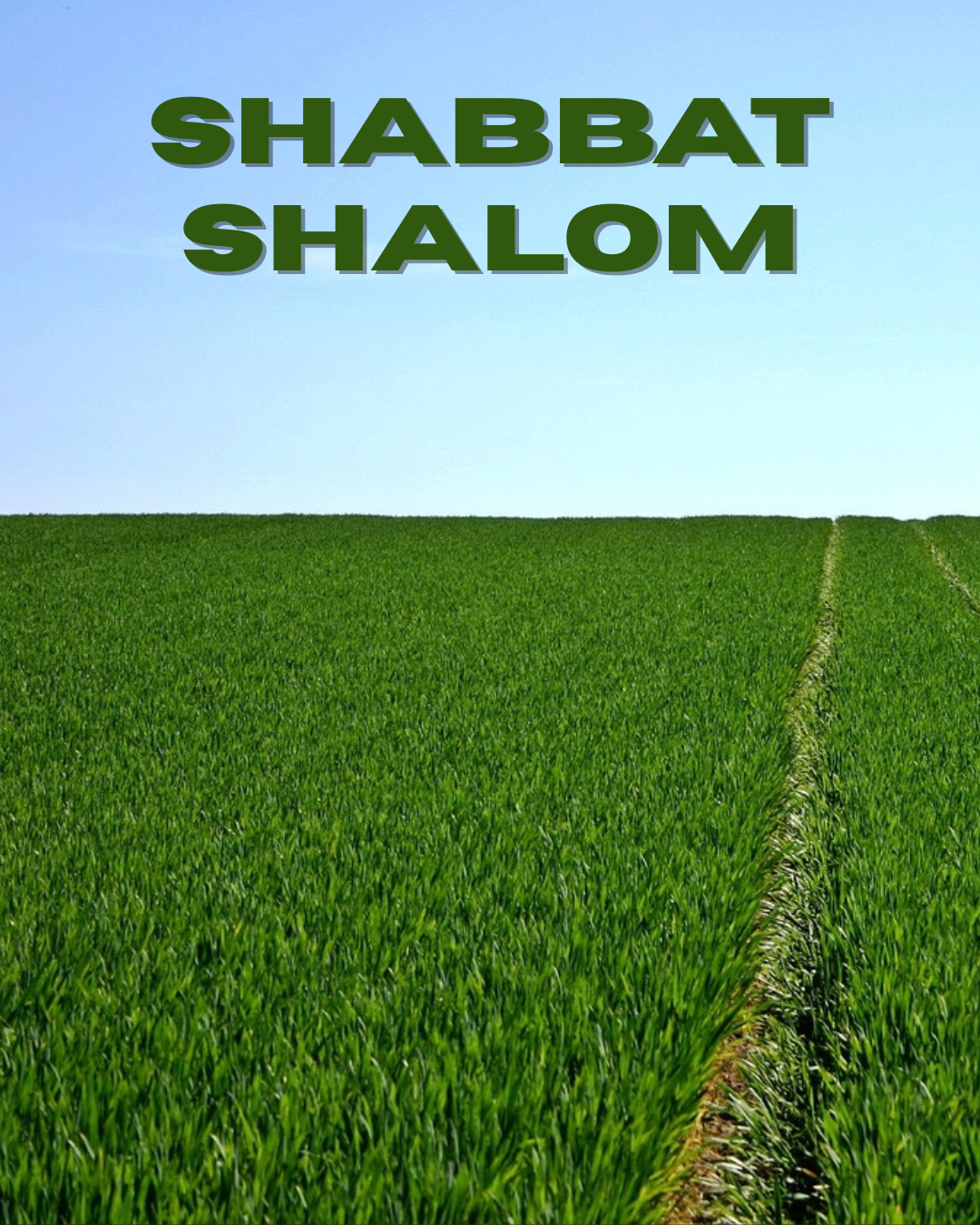 Parashat Sh’lach – Will We Believe the Report?