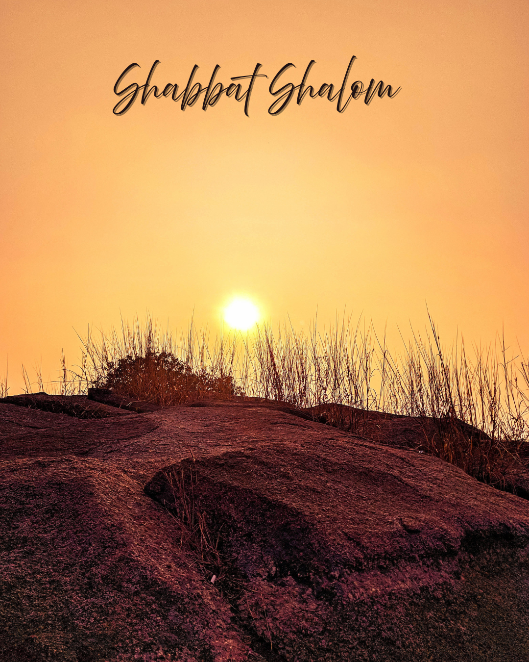 Lift the Count: Consecration, Blessing, and Bearing Gifts