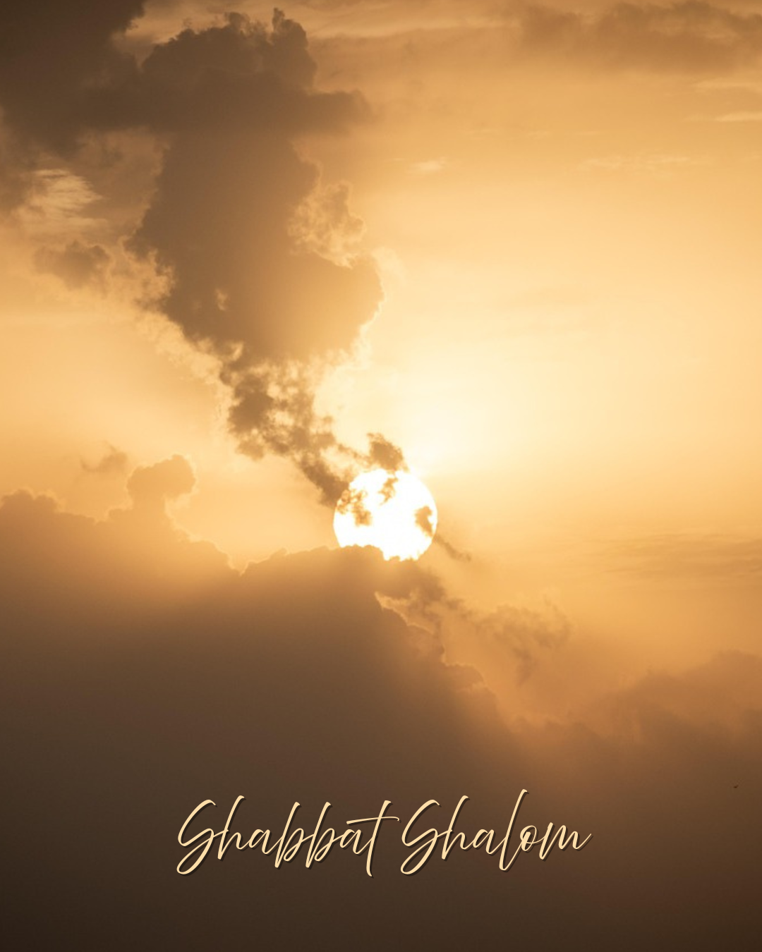 Parashat Beha’alotcha – “When You Raise the Light”